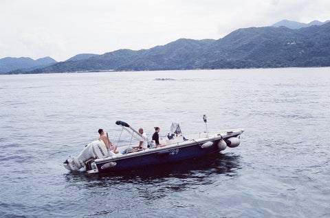 Mr Negative Bat Country