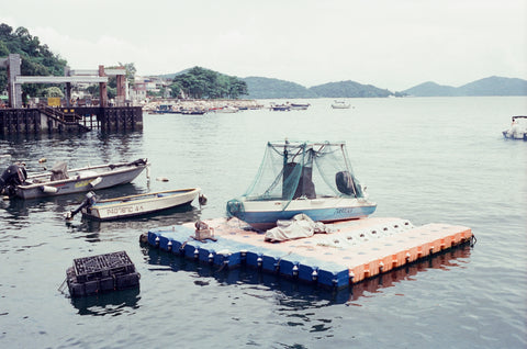 Mr Negative Bat Country