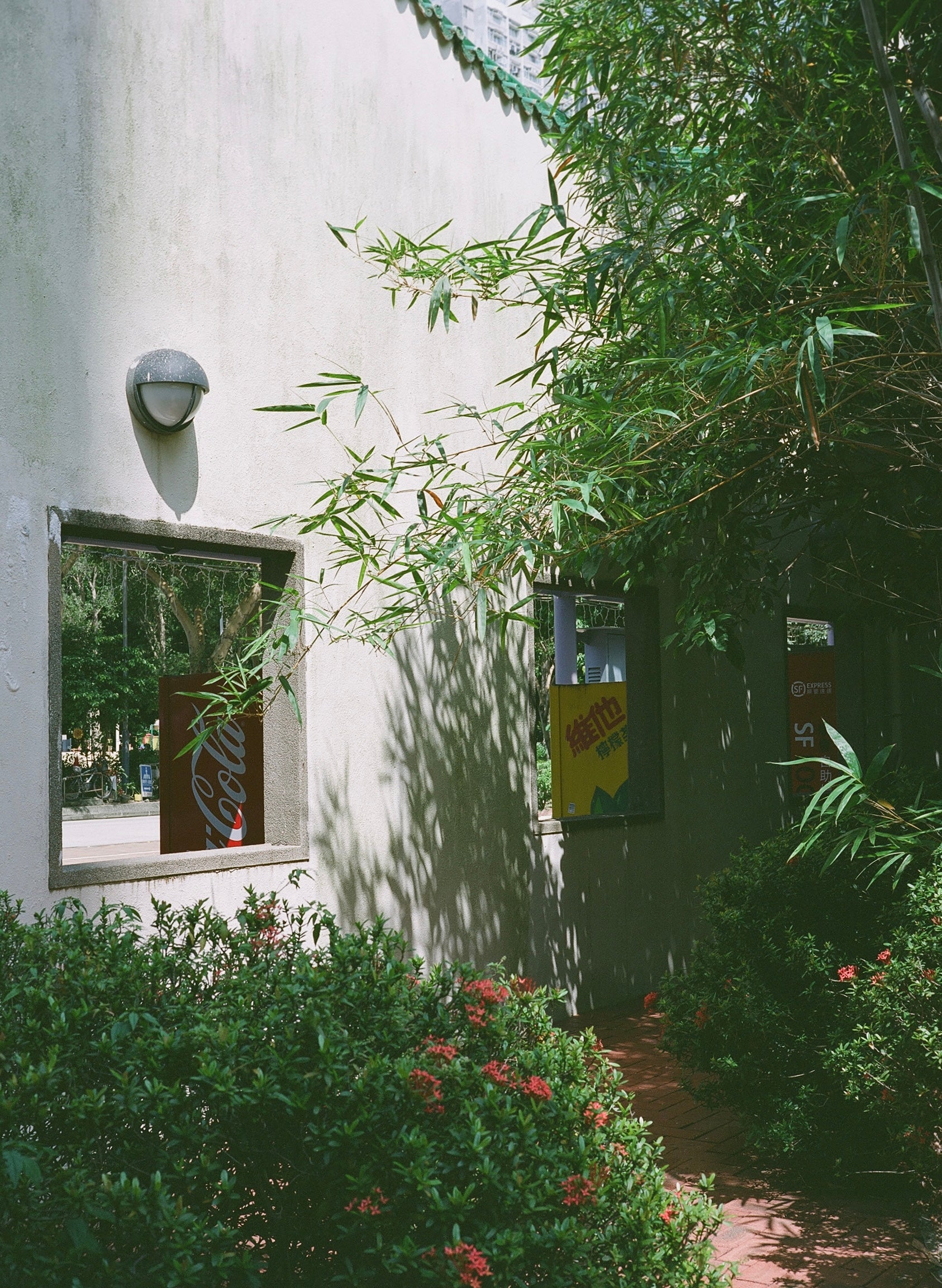 Fujifilm Fujicolor PRO 160NS - 120 Color Negative Film